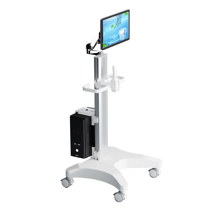 mobile medical computing cart
